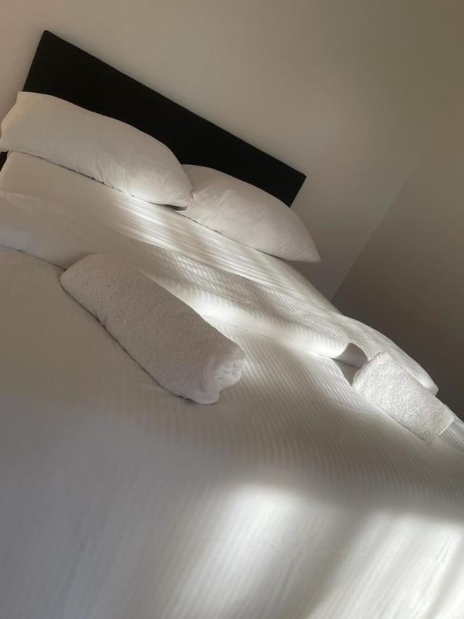 Shamma's Apartament
